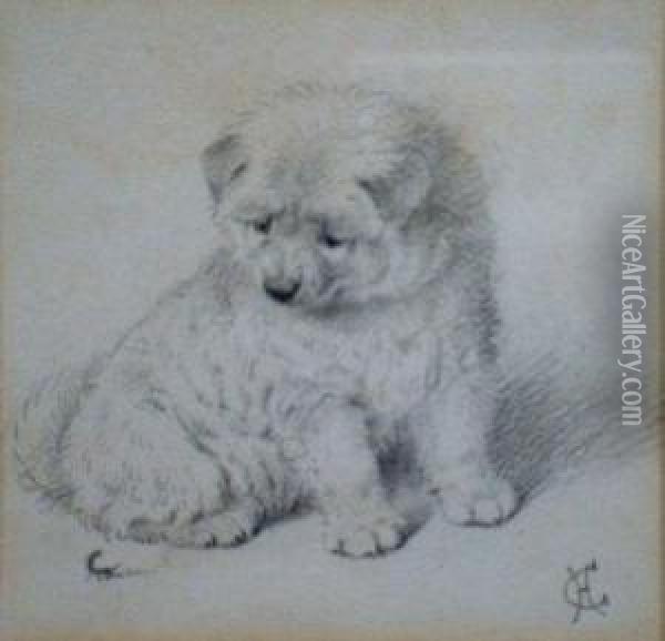 'curiosity'. A Seated Puppy Watching A Passing Insect. Oil Painting - Horatio Henry Couldery