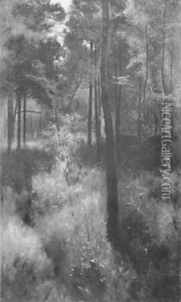 Woodland Glade Oil Painting - Patrick William Adam