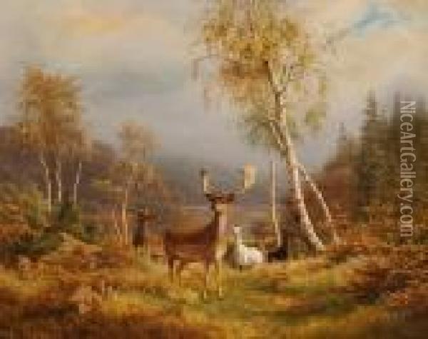 Bogh: Fallow Deer In The Woods 
In Autumn. 