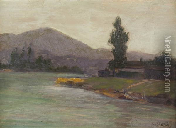 Donaulandschaft Oil Painting - Josef Straka