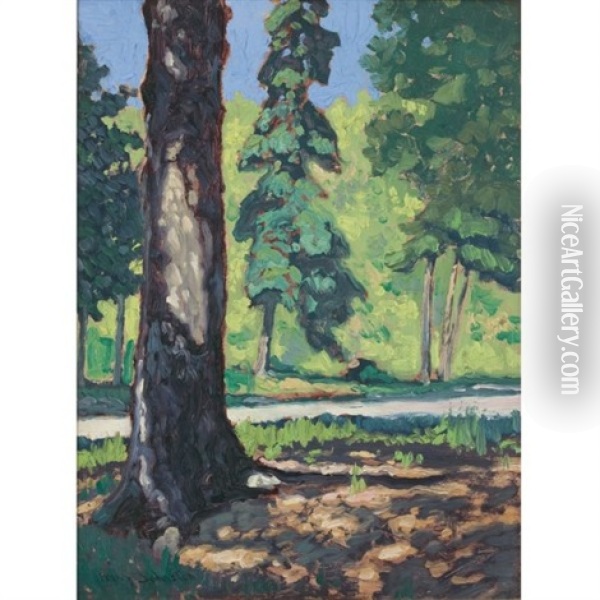 Sun Through The Trees Oil Painting - Francis Hans Johnston