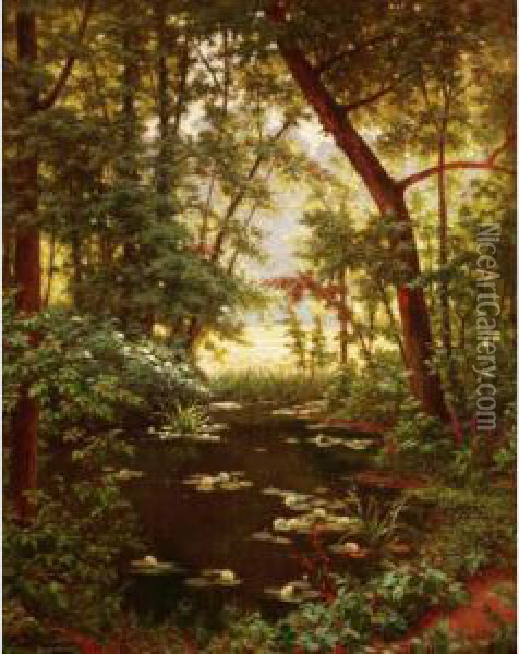 Les Nenuphars Oil Painting - Henri Biva