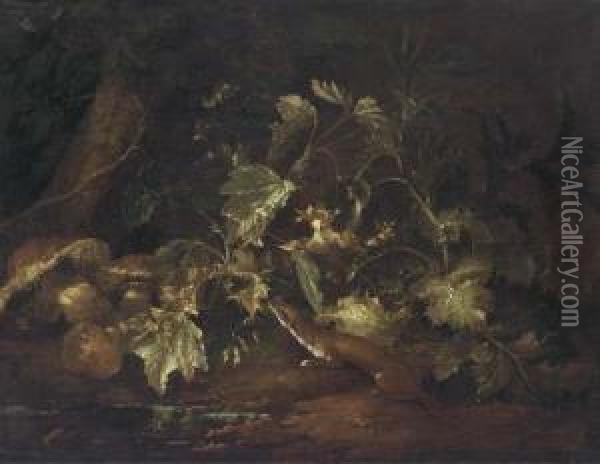 A Forest Floor Still Life With A Stoat Beside A Pool Oil Painting - Paolo Porpora
