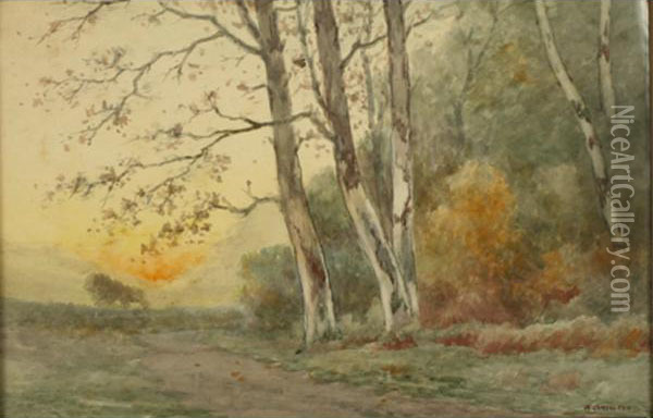 Path Along The Woods Oil Painting - William Clusmann