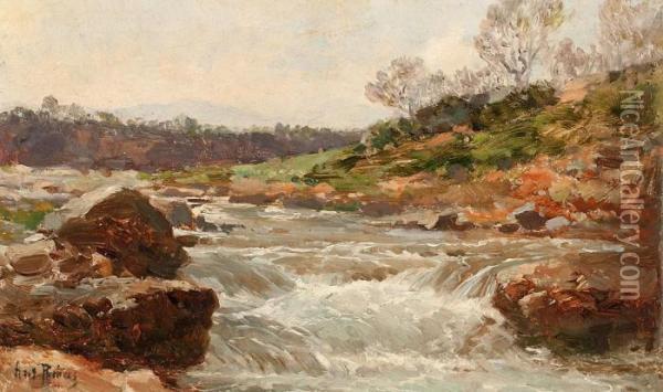 Vista Fluvial Oil Painting - Antonio Ribas Olivier