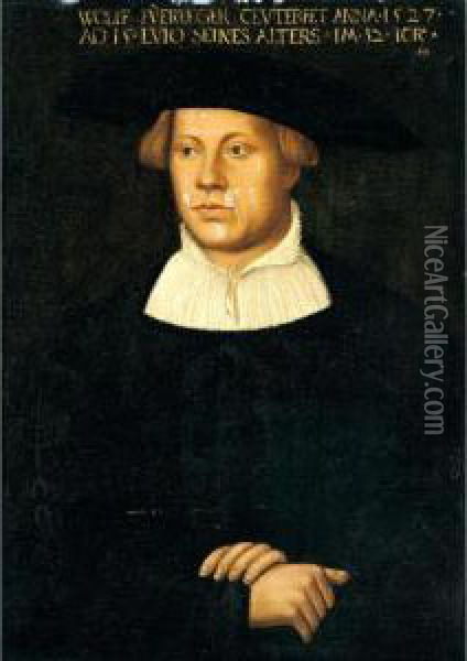 Portrait Of Wolff Fuerleger, Aged 32, Halflength, Wearing An Embroidered Black Coat Oil Painting - Hans Brosamer