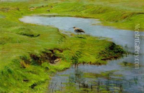 Spove Ved Et Vandhul, Rorvig Oil Painting - Vilhelm Theodor Fischer