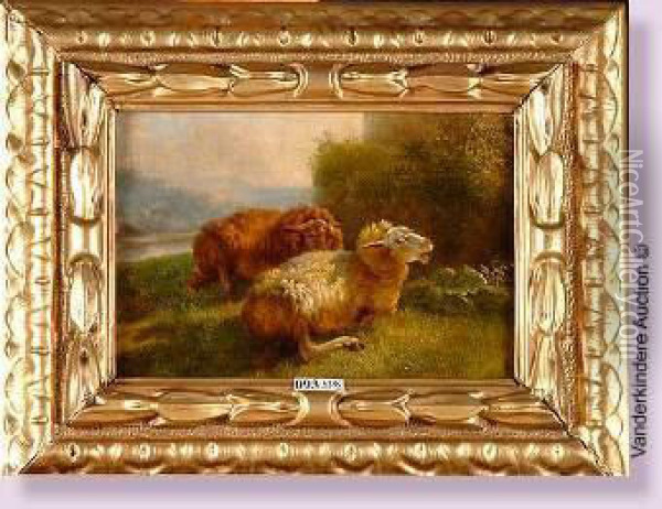 Moutons Couches Au Pre Oil Painting - Eugene Joseph Verboeckhoven