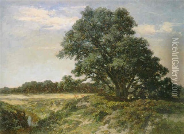 The Big Tree, Gardiners Creek Oil Painting - Abraham Louis Buvelot