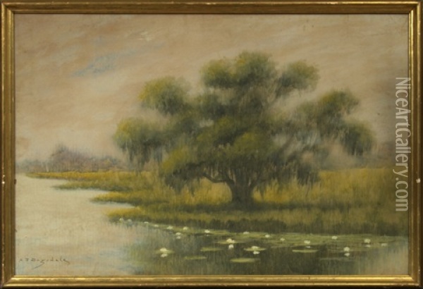 Oak Trees Along The Bayou Oil Painting - Alexander John Drysdale