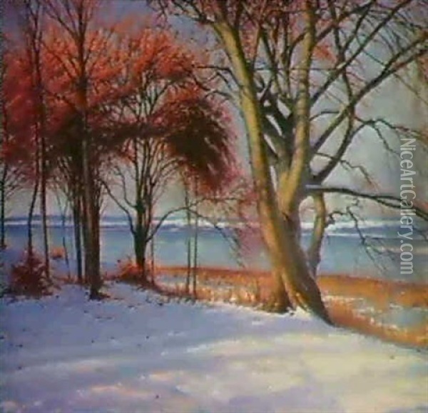 Vinterdag Vid Fureson,danmark Oil Painting - Sigvard Marius Hansen