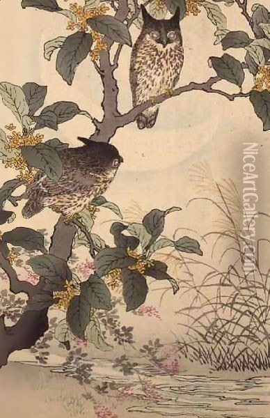 Two owls in a tree from Bunrei Kacho Gafu by Kono Bairei Oil Painting - Kono Bairei