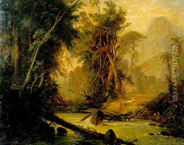 A Tropical Forest In Venezuela Oil Painting - Ferdinand Bellermann