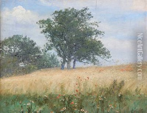 Field Landscape With Poppies Oil Painting - Cilius (Johannes Konrad) Andersen