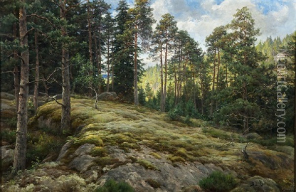 Pine-growing Rocky Slope Oil Painting - Berndt Adolf Lindholm