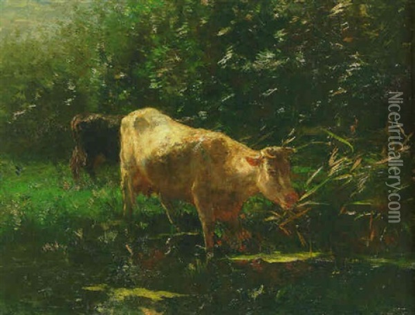 Watering In A Stream Oil Painting - Willem Maris