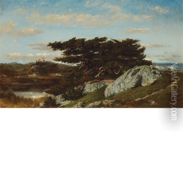 Scrub Pines And Coast, Cohasset, Massachusetts Oil Painting - Winckworth Allan Gay