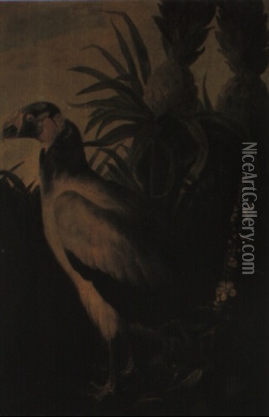 A Vulture By A Pineapple Tree Oil Painting - Pieter Casteels III