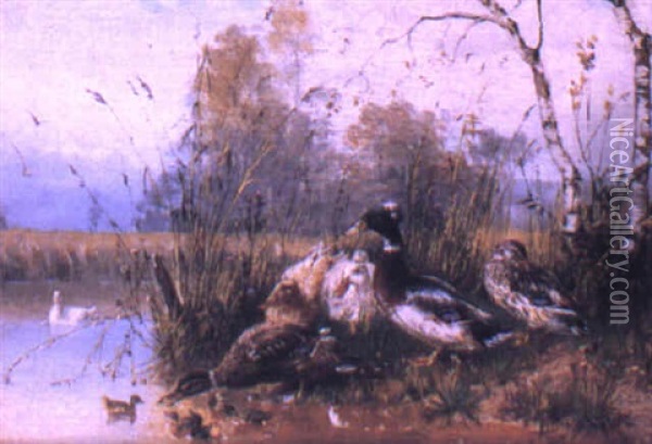 Ducks And Ducklings By A River Oil Painting - Julius Scheuerer
