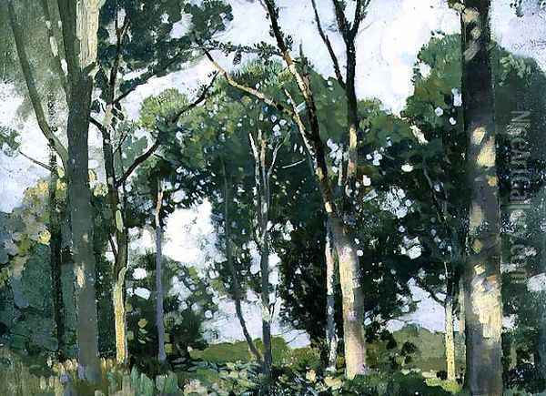 Trees in sunlight Oil Painting - Harry Watson