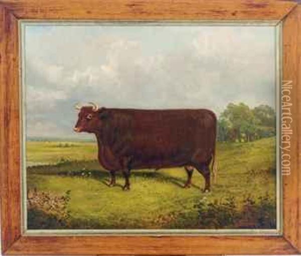 A Bull In A Landscape Oil Painting - James Senior Clark