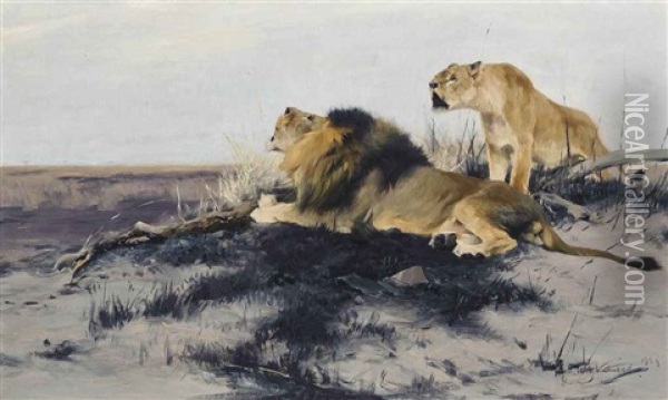 Roaring Lions Oil Painting - Wilhelm Friedrich Kuhnert