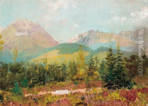 View Of The Tatras Oil Painting - Laszlo Mednyanszky