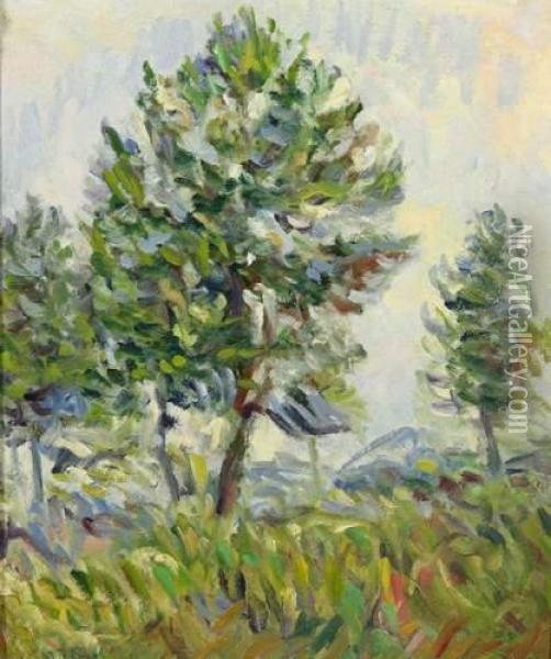 Etude Preparatoire Pour Un Paysage Aux Arbres Oil Painting - Nicolas Tarkhoff