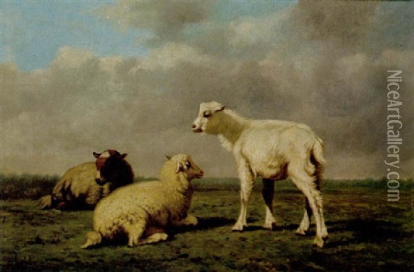 Schafe Auf Der Weide Oil Painting - Louis Robbe