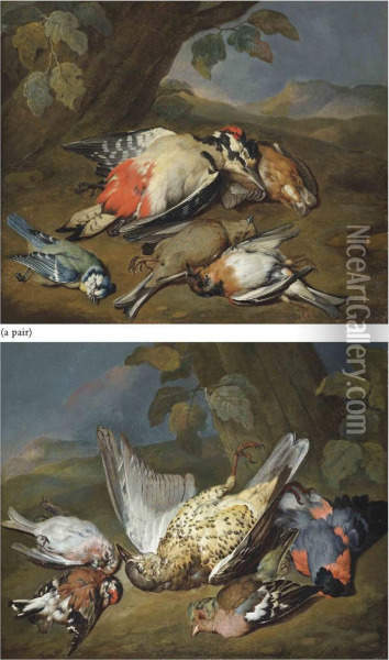 A Dead Ptarmigan, A Bullfinch, A Greenfinch And Other Birds, In A Wooded Clearing Oil Painting - William Gowe Ferguson