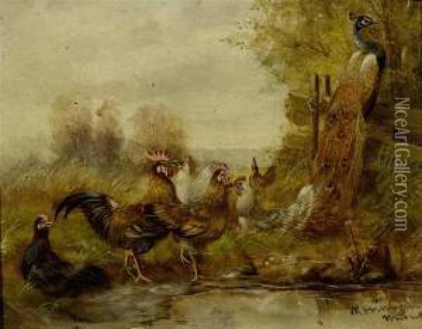 Hens And A Peacock At A Pond Oil Painting - Max Sen. Hanger