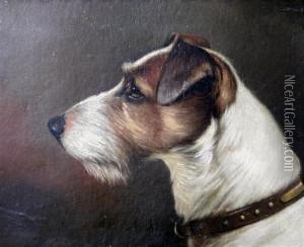 Heads Of Jack Russell's Oil Painting - John Arnold Wheeler