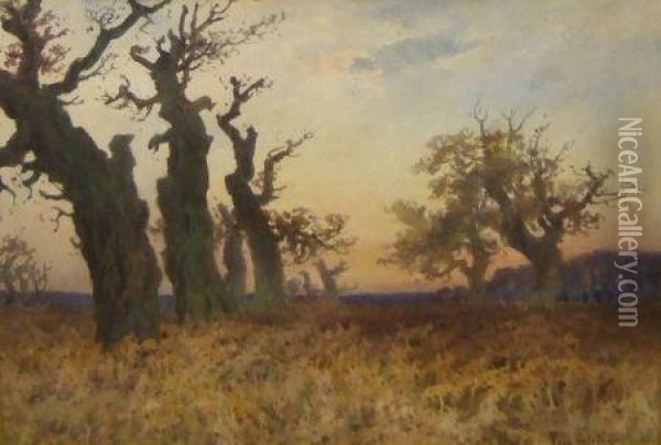 Oak Trees And Bracken In Winter Oil Painting - Paul Bertram