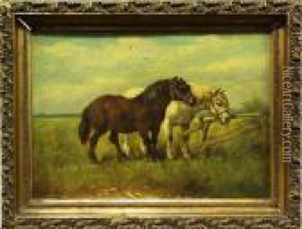 Category: Painting
 Description:twee Paarden In De Weiden Oil Painting - Paul Henry Schouten