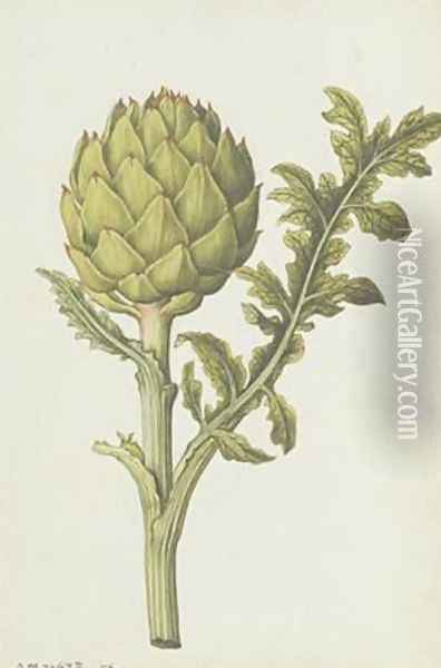 Artichoke Cynara scolymus Oil Painting - Jacques (de Morgues) Le Moyne