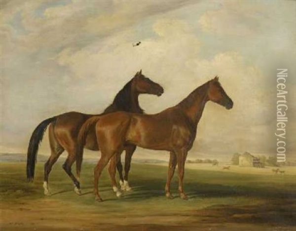 Zwei Pferde Auf Der Koppel Oil Painting - Henri Delattre