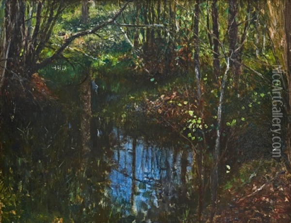Skogsglanta Med Vattendrag Oil Painting - Robert Thegerstroem