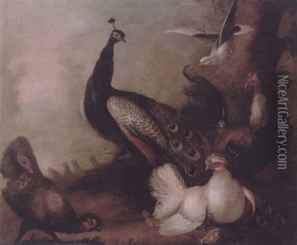 A Concert Of Birds, Including A Peacock, Doves And Fancy Fowl Oil Painting - Marmaduke Cradock