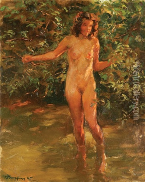 In Stream Oil Painting - Wilhelm Hempfing