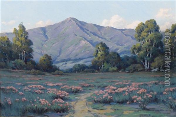 A Field Of Blooming Phlox Oil Painting - Alexis Matthew Podchernikoff