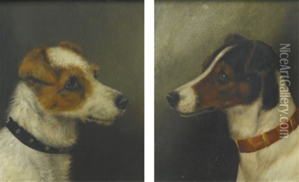 Two Heads Of Fox Terriers Oil Painting - Alfred Wheeler