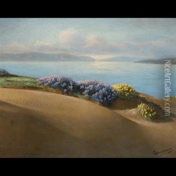San Francisco Coastal Scene Oil Painting - Willard E. Worden
