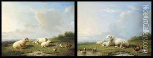 Paysages Avec Moutons Et Poules Oil Painting - Franz van Severdonck