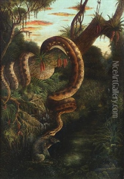 A Snake Attacking A Tapir, South America Oil Painting - Alexander von Humboldt