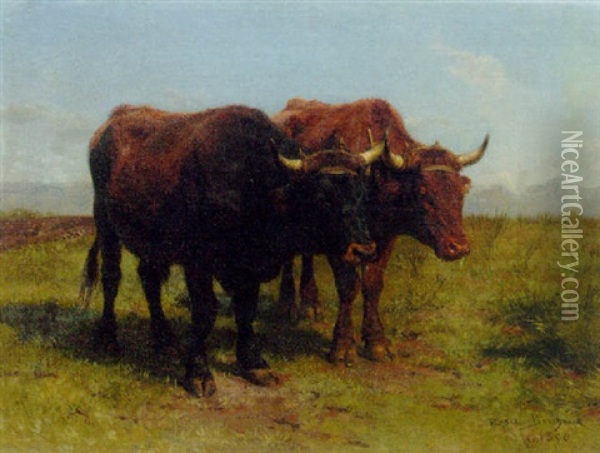 Nivernais Oxen Oil Painting - Rosa Bonheur