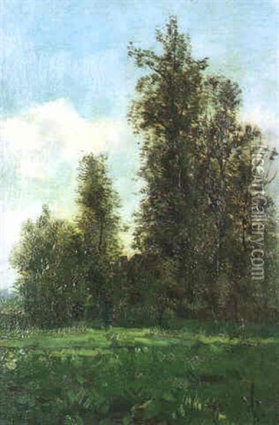A Wooded Landscape Oil Painting - Theophile De Bock