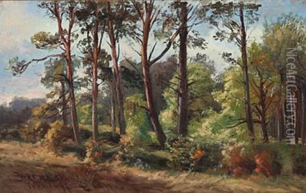 Sunny Day At Hornbaek Plantation, Denmark Oil Painting - Rudolf Bissen