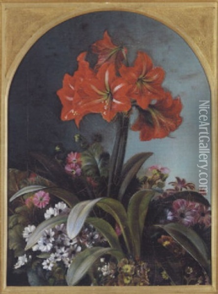 Blomstrende Amaryllis Oil Painting - Carl Vilhelm Balsgaard