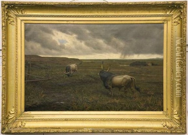 Deux Taureaux Sous Un Ciel D'orage Oil Painting - Evert Louis van Muyden