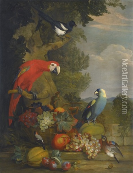 Macaws, A Black-billed Magpie And A Robin With A Fruit Still-life Oil Painting - Tobias Stranovius